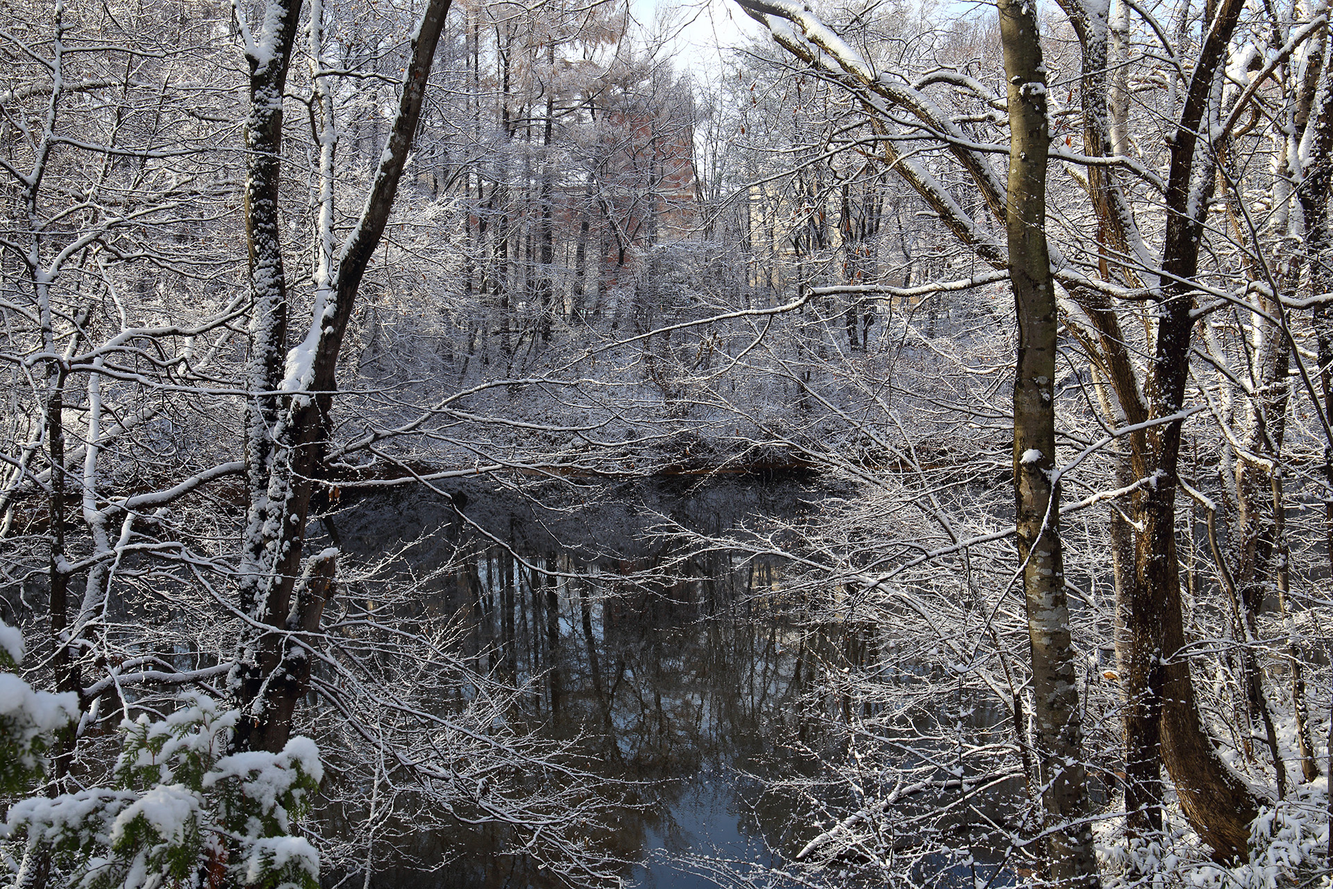 アニズルームのショートステイ