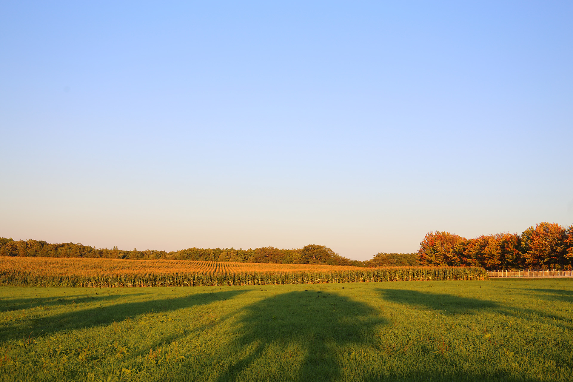 アニズルームのショートステイ