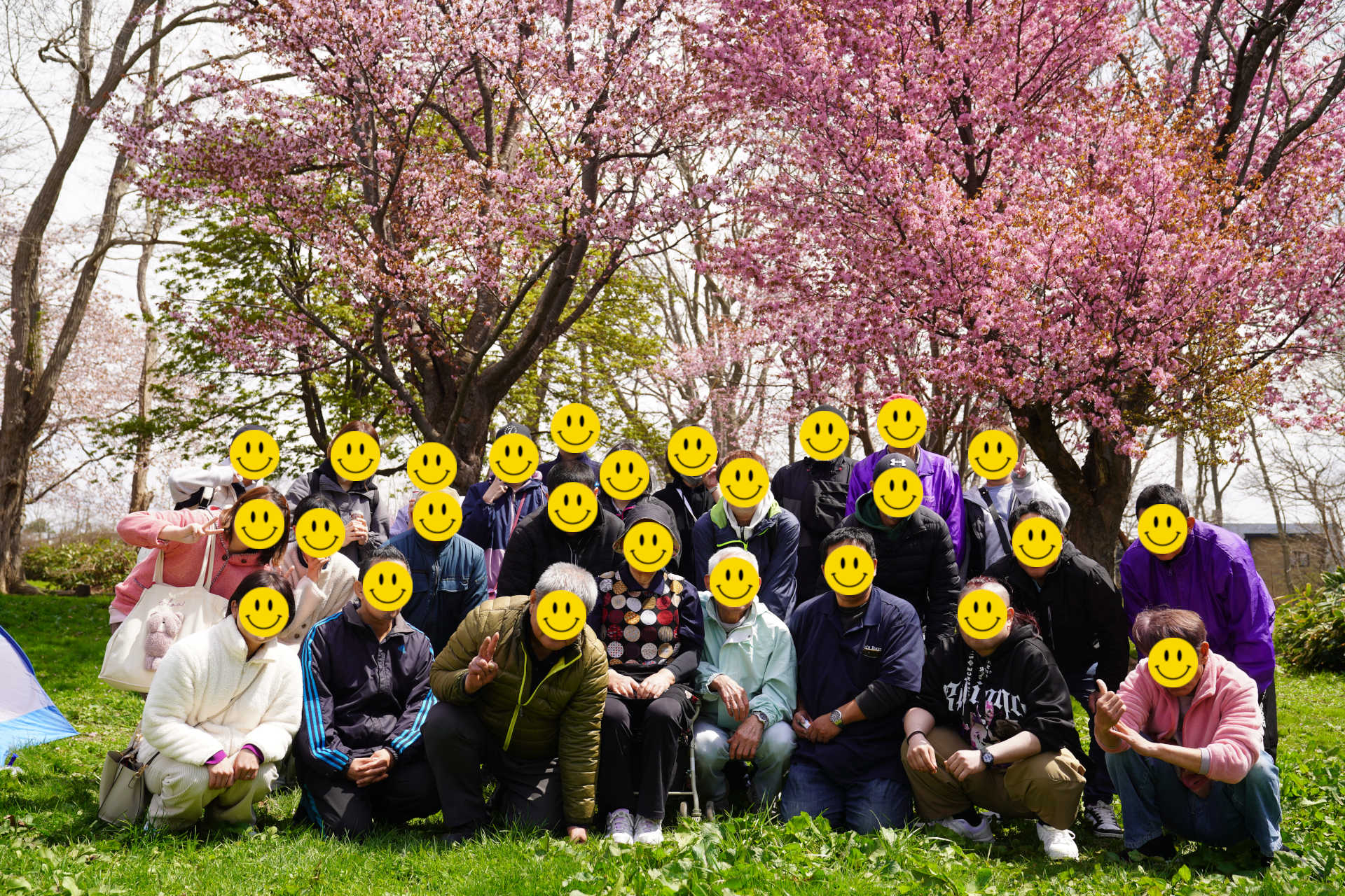 アニズルームの各種イベント